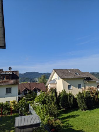 IMG_20200503_090638.jpg