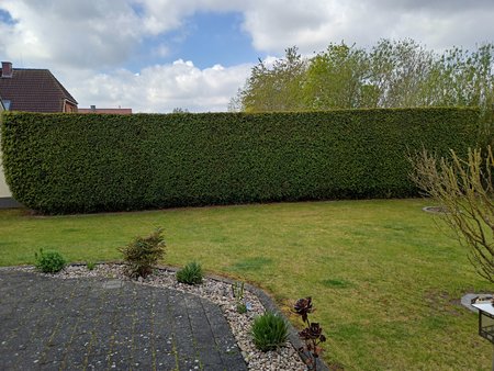IMG20200503111501.jpg