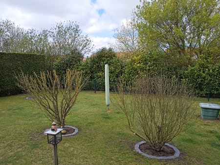 IMG20200503111509.jpg