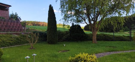 IMG_20200505_183943.jpg