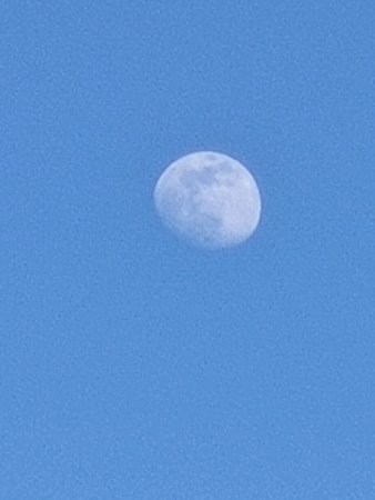 IMG_20200504_191320.jpg