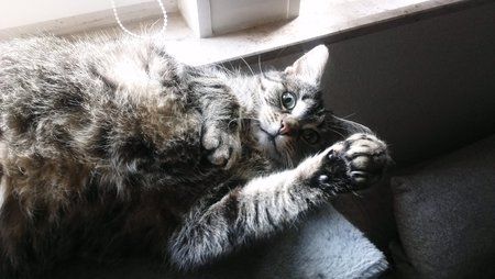 IMAG0040.jpg