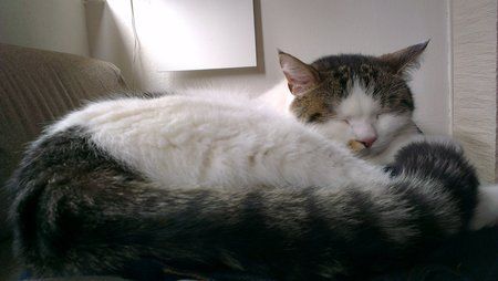 IMAG0006.jpg