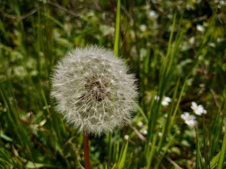 DSC_0004.JPG