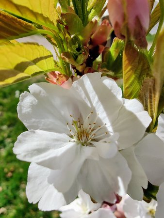 IMG_20200418_151105.jpg