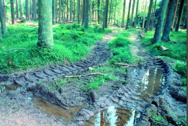 Bildschirmfoto vom 2020-05-10 17-49-17.png