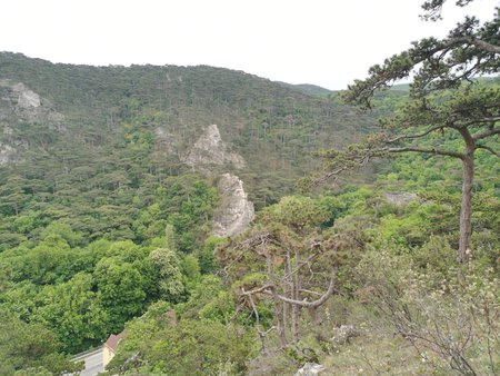 IMG_20200510_130938.jpg