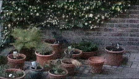 Screenshot_20200511-172623_Photos.jpg