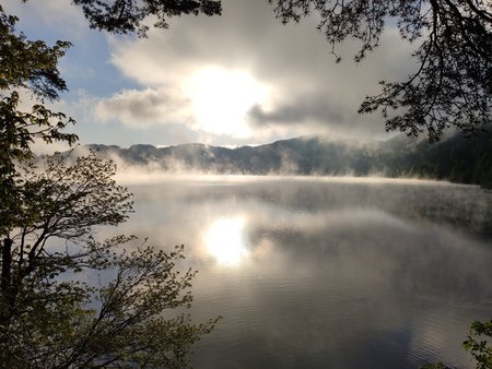 Saale mit aufsteigendem Nebel.jpg