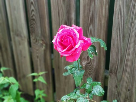 IMG_20200516_173830.jpg