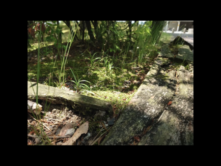 E1CC10F5-00A1-44E0-815C-C90BC06FF72C.png