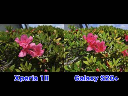 441AC5F3-11EA-4F63-8487-B4FE83884298.png