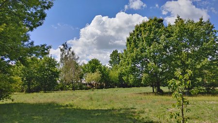 20200526_122435_HDR.jpg