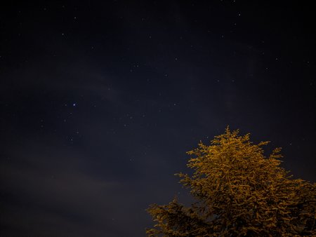 IMG_20200526_233835.jpg