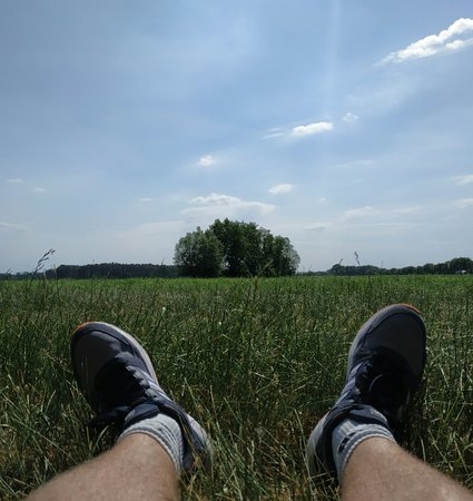 IMG_20200603_151657_1.jpg