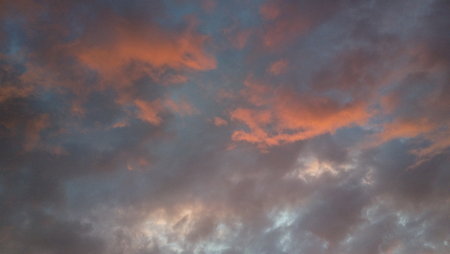 2020-06-04.jpg