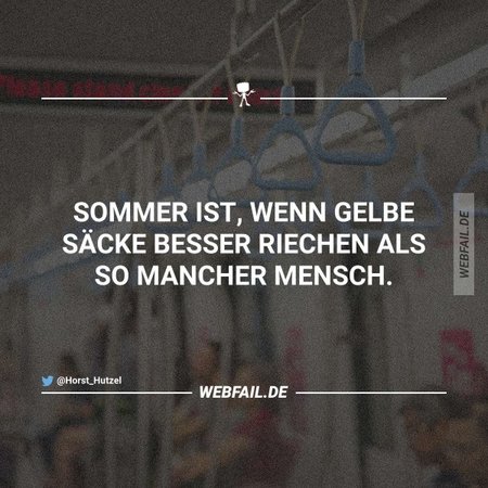 sommer.jpg