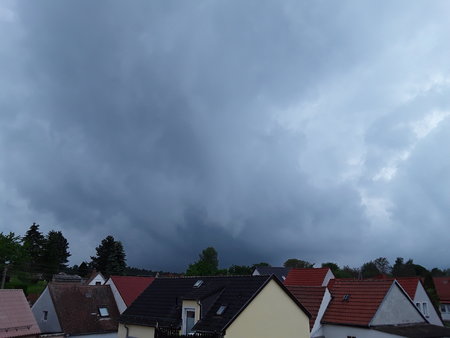 20200604_201037.jpg
