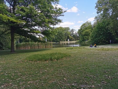 IMG_20200530_161807-p30Pro.jpg