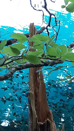 20180802_131327.jpg