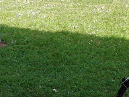 20200607_094858.jpg