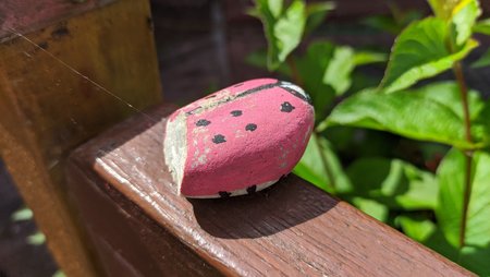MVIMG_20200607_153952.jpg