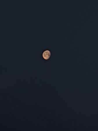 IMG_20200609_051956.jpg