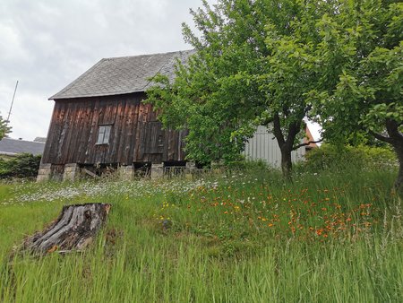 IMG_20200610_154116.jpg