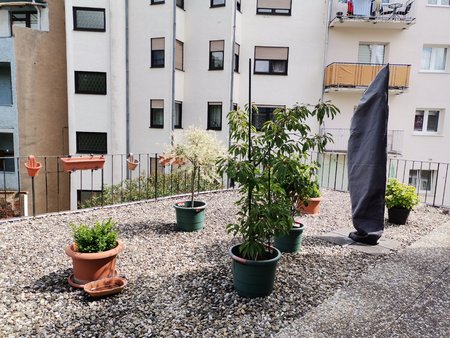 2020-06-11_Terrassenpflanzen_02_4zu3-normal.jpg