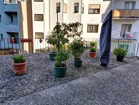 2020-06-11_Terrassenpflanzen_12_Nachtmodus-mit-AI.jpg