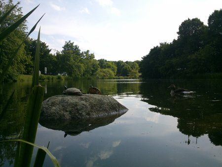 DSC_0026[2].jpg