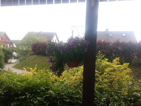 20120605_193523.jpg