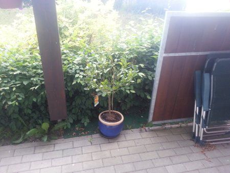 20120605_193526.jpg