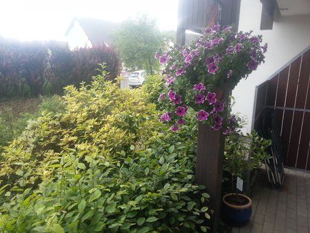 20120605_193543.jpg