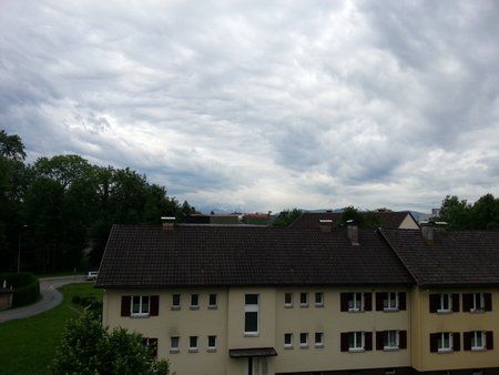 20120606_080200.jpg