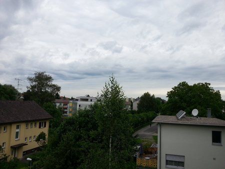 20120606_080207.jpg