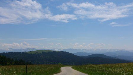 DSC_0080.jpg