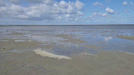 IMAG0048.jpg