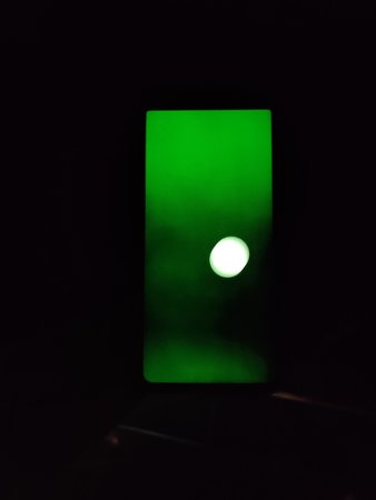 IMG_20200613_115713.jpg
