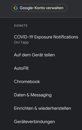 Corona-API-englisch.jpg