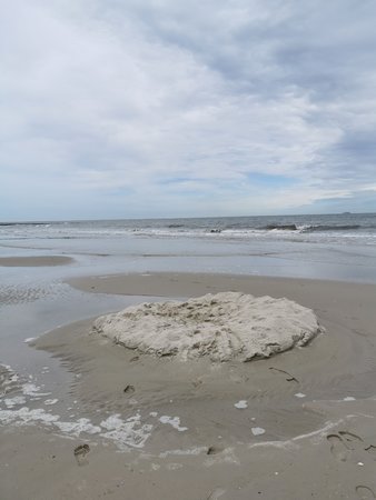 IMG_20200619_120115.jpg