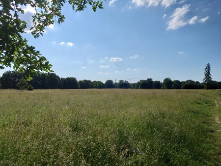 20200623_171339.JPG