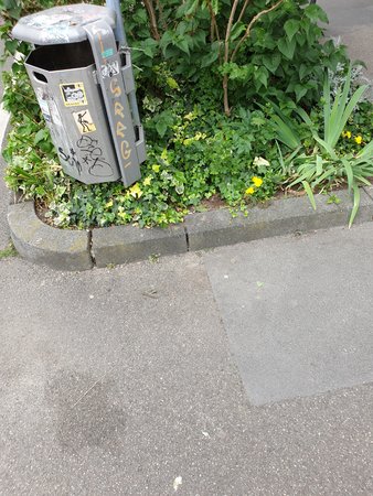 20200622_101859.jpg