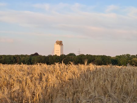20200624_212740.jpg