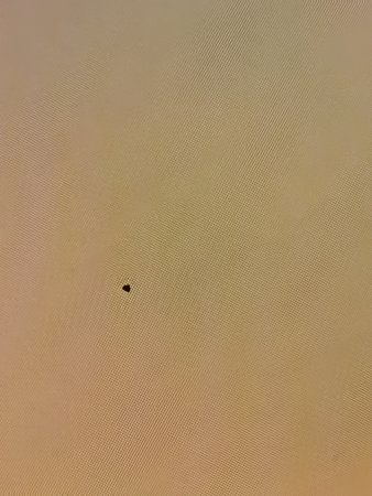105921972_715497289286878_7916050156769894602_n.jpg
