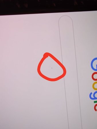 106099897_1207243186280234_2072650981143673229_n.jpg