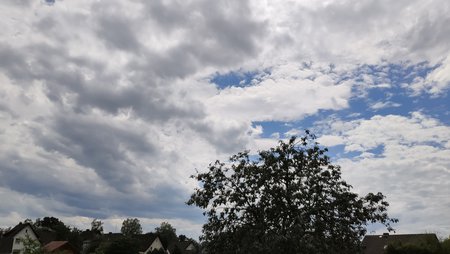 IMG_20200627_143703.jpg