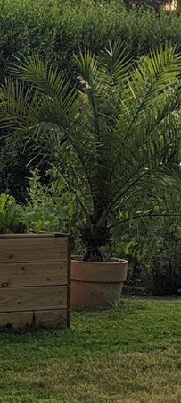 Screenshot_20200627-210642.jpg