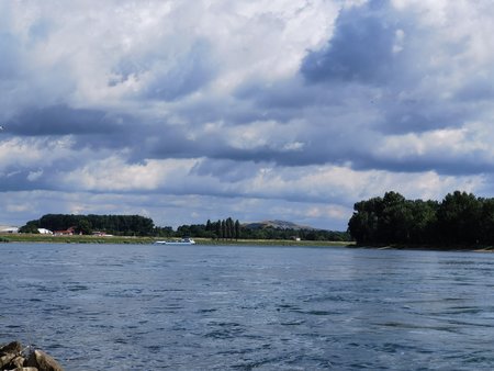 2020-06-28 10.06.20.jpg