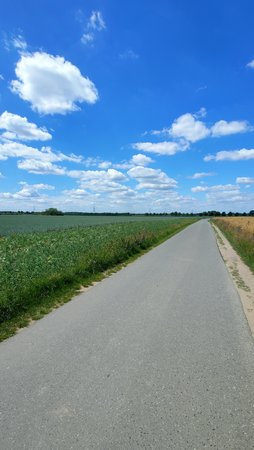 IMG20200620130807.jpg